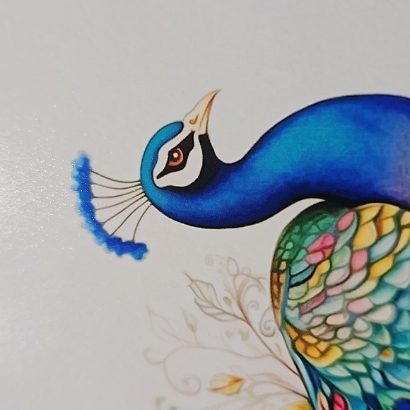 4x6 Peacock Bird Watercolor Oil‎ Painting Fantasy Art Print - Picture 4 of 5